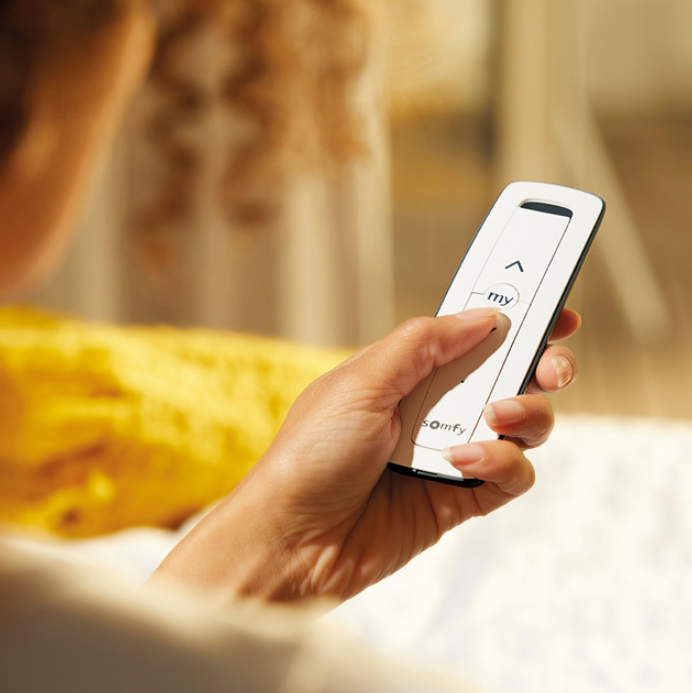 Motorization Somfy Experts